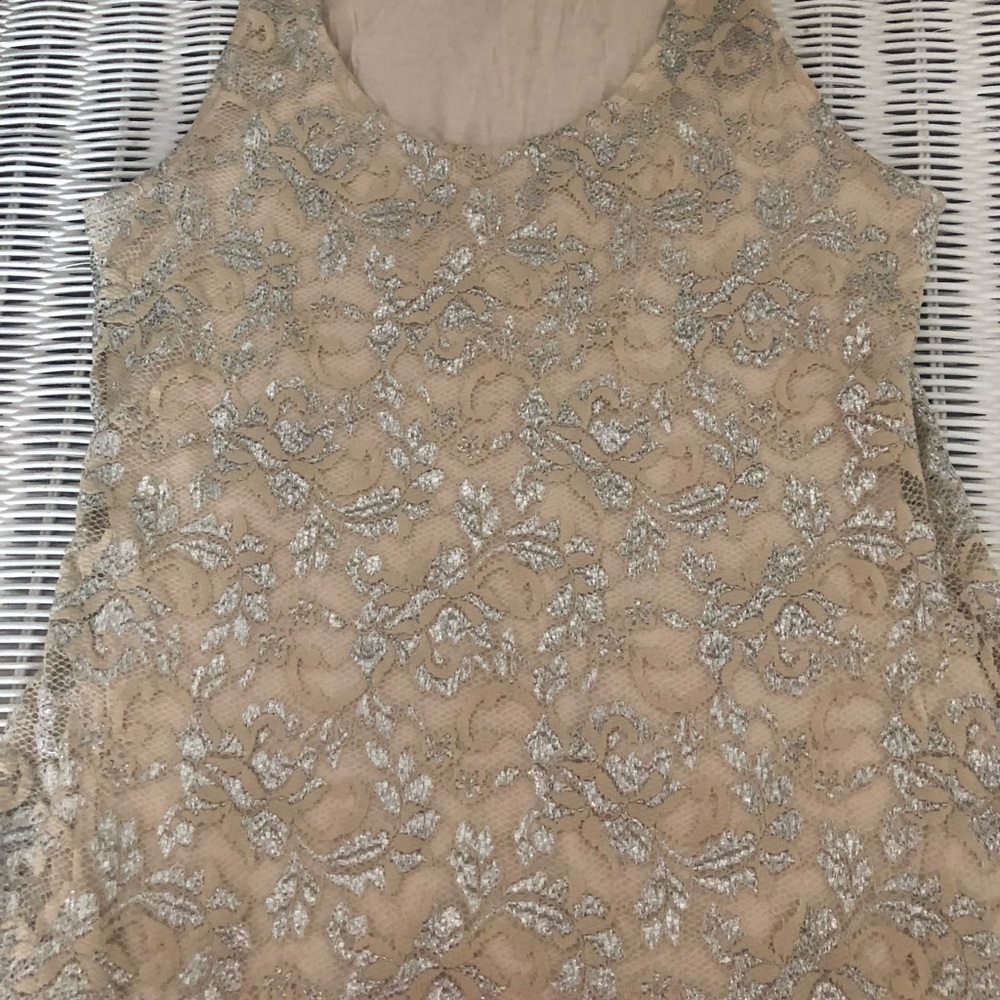Boston Proper Metallic Lace Tank Top - Picture 2 of 4
